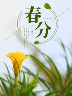春分二十四节气传统中国风插画高清活动海报展板PSD模板素材 春分二十四节气传统中国风插画高清活动海报展板PSD模板素材