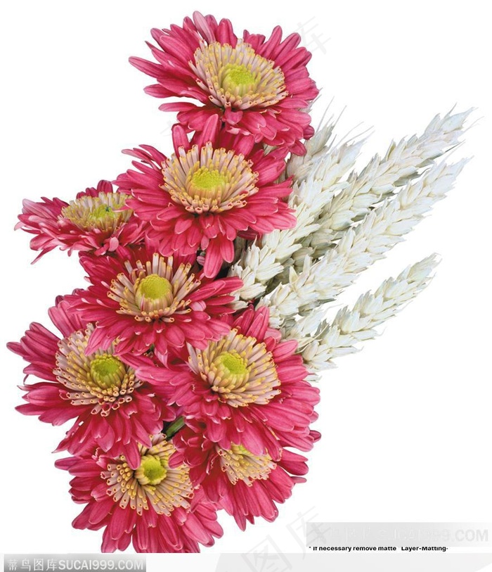 花艺花束-红色的菊花