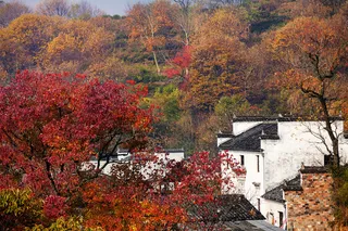 安徽塔川秋色风景图片-第4张