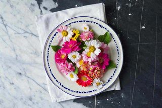 鲜花彩色花朵碟子摆盘简约摄影图