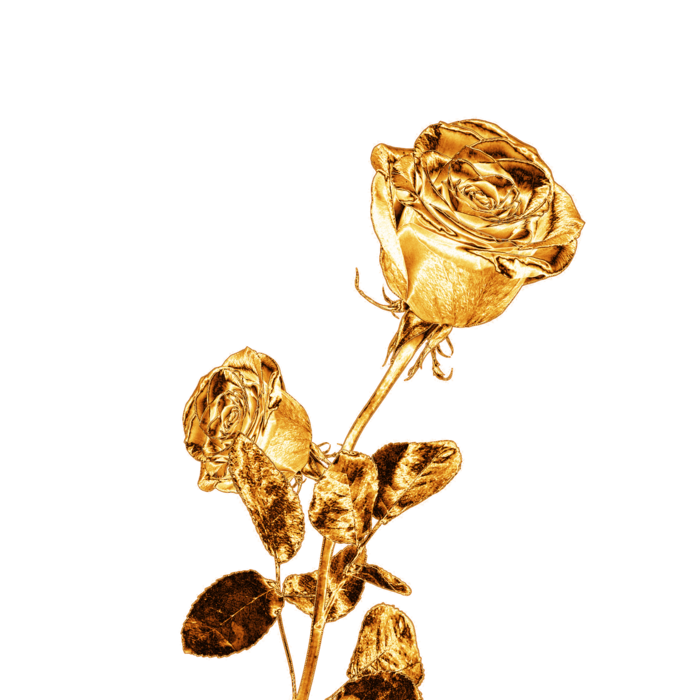 金属质感玫瑰花 免抠