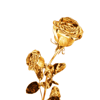 金属质感玫瑰花 免抠
