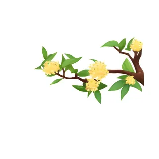 桂花树枝免抠
