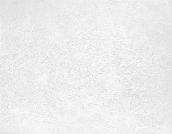白色高级底纹质感高端柔和灰色