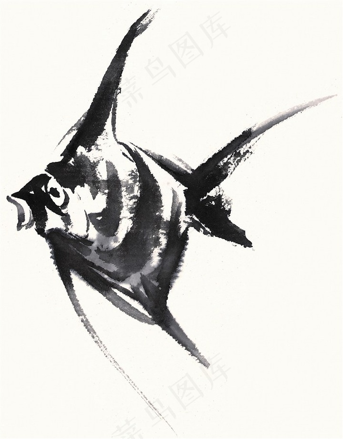 国画鱼虾蟹龟中国画素材