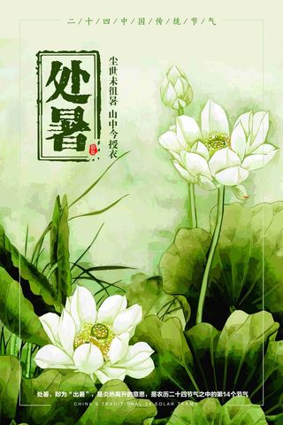 二十四节气处暑荷花传统农历海报
