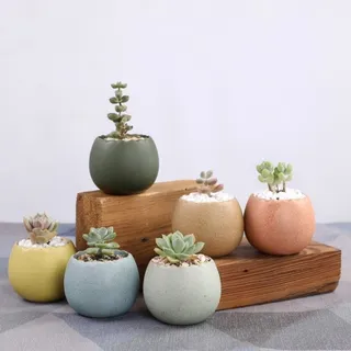 北欧简约绿植盆栽场景(40)