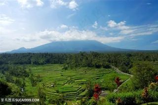 高清图片美丽的梯田景色