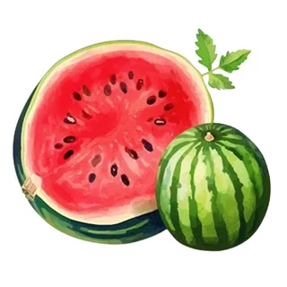 西瓜免抠