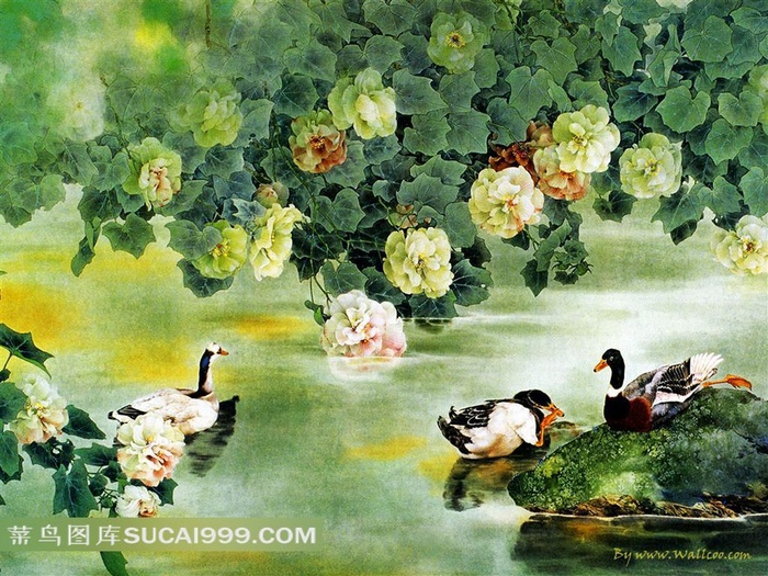 工笔花鸟鸭子鲜花