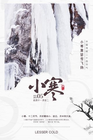 中国传统小寒祝福24二十四节气节日宣传活动海报
