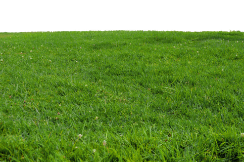 野外田园青青草地背景PNG免抠素材