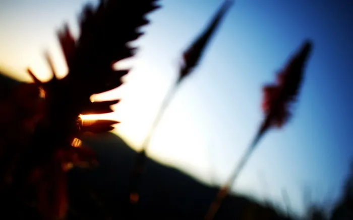 图片素材背景怀旧效果