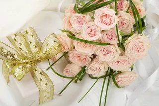 2012情人节玫瑰花图片下载