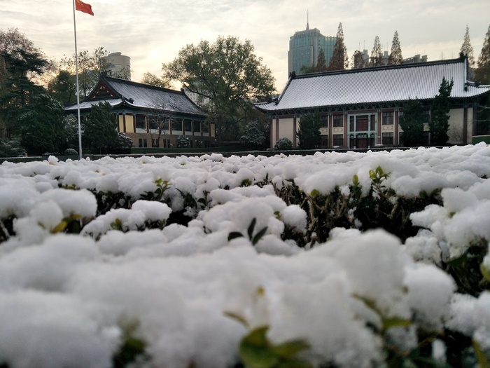 雪后的景色
