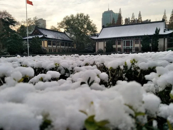 雪后的景色