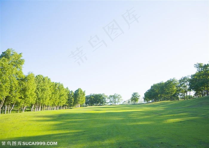 草地天空-草地上的绿荫