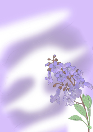 紫色泡桐简约风画册背景图