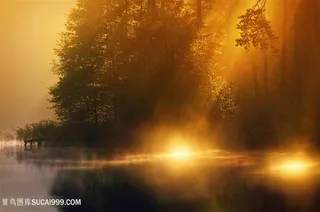 唯美意境树林景色高清图片