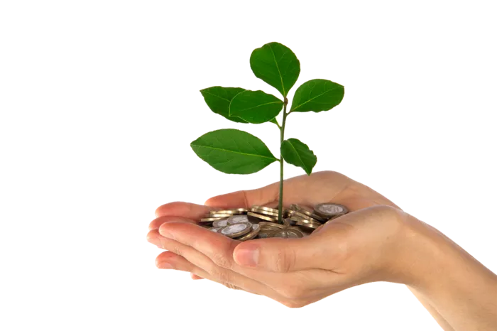 金钱种植现代农业