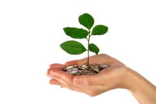 金钱种植现代农业