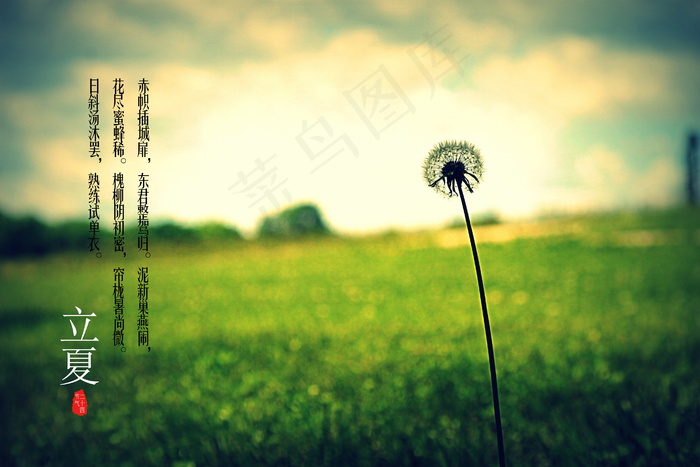 立夏的诗句图片