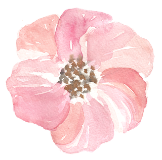 唯美森系手绘水彩花朵 免抠