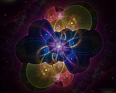 图片设计素材背景鸟语花香