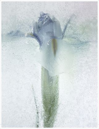 装饰画|客厅|海报画|电表箱装饰画|挂画