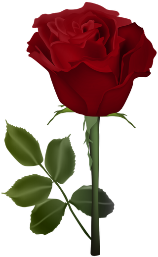 鲜花玫瑰免扣素材