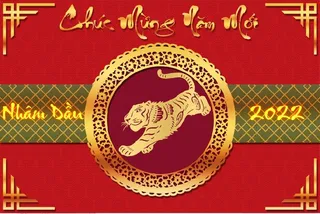 设计新年虎年背景