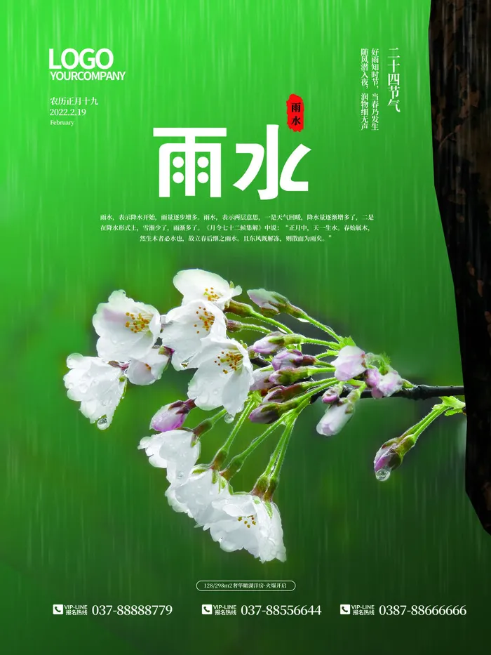 创意24节日二十四节气雨水春节春天宣传祝福海报模板PSD设计素材psd模版下载