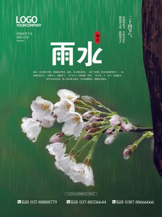 创意24节日二十四节气雨水春节春天宣传祝福海报模板PSD设计素材