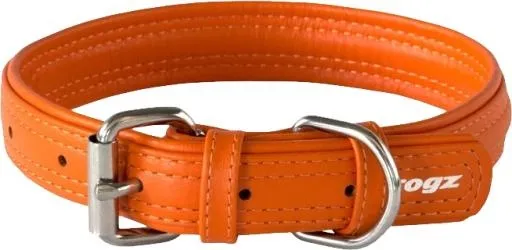 狗项圈 PNG免抠(654x320)