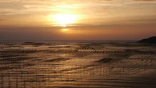 霞浦海边日出波光粼粼海天一色