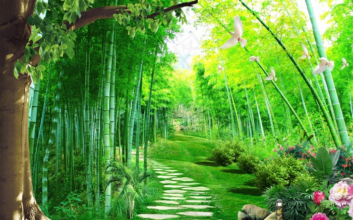 竹林鸽子小路