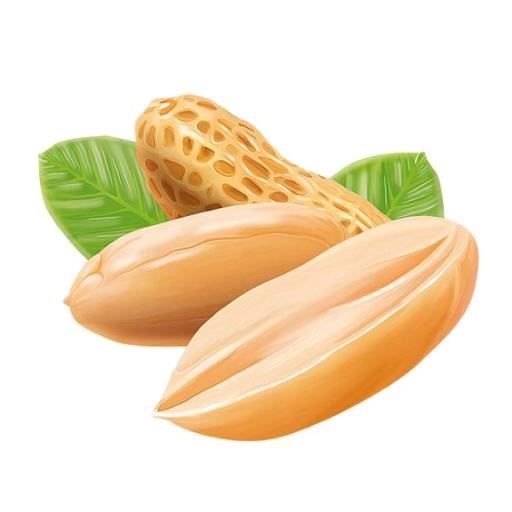花生 PNG免抠(564x564)
