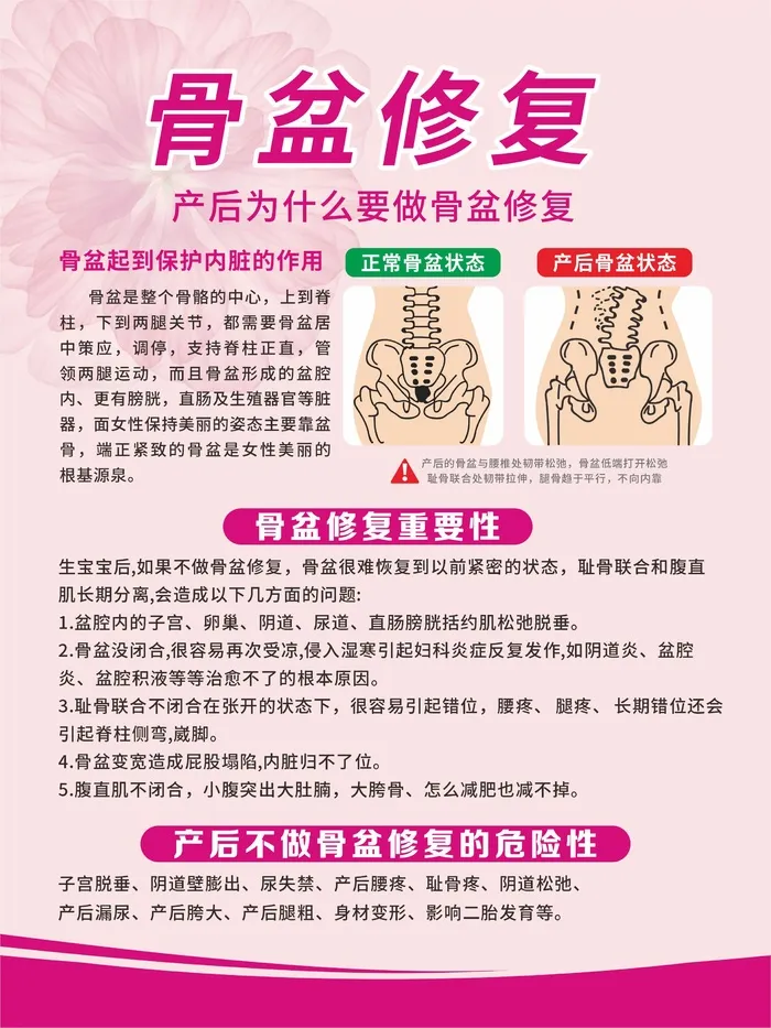 骨盆修复海报cdr矢量模版下载
