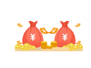 财富钱袋子金币