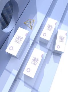 包装智能贴图样机VI效果PSD素材