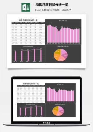 销售月度利润分析一览预览图