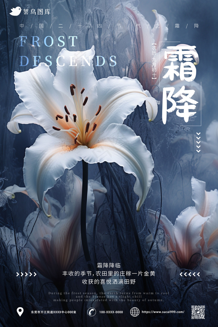 结霜 花朵    霜降节气海报 ai矢量模版下载