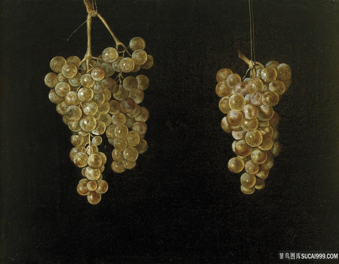费尔南德斯拉布拉多，胡安-两种葡萄品种油画