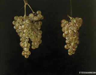 费尔南德斯拉布拉多，胡安-两种葡萄品种油画