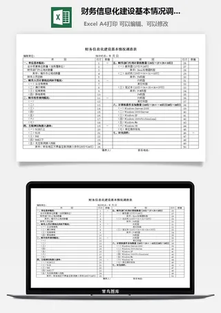 财务信息化建设基本情况调查表excel模板