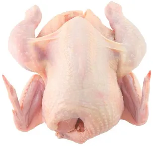 免抠鸡肉图