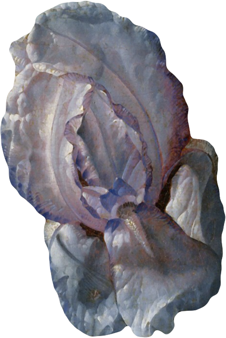 复古油画质感宫廷花卉植物花朵鲜花拼贴图案PNG免抠图片设计素材