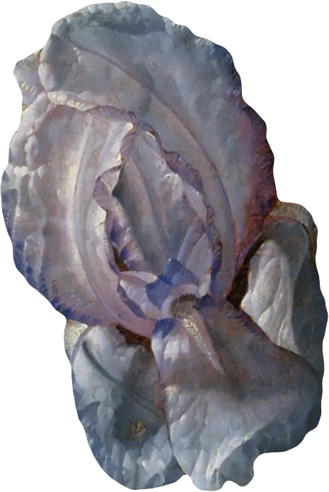 复古油画质感宫廷花卉植物花朵鲜花拼贴图案PNG免抠图片设计素材