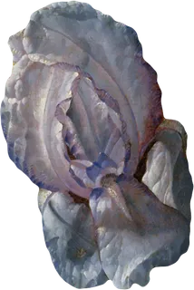 复古油画质感宫廷花卉植物花朵鲜花拼贴图案PNG免抠图片设计素材