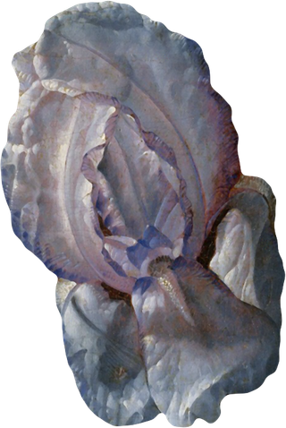 复古油画质感宫廷花卉植物花朵鲜花拼贴图案PNG免抠图片设计素材